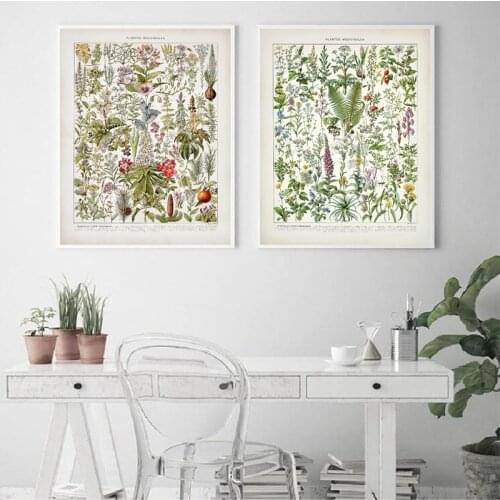 Botanical Medicinal Plants Vintage Posters and Prints Poppy Foxglove Hyssop Lavender Late 1800s Repro Canvas Painting Wall Decor