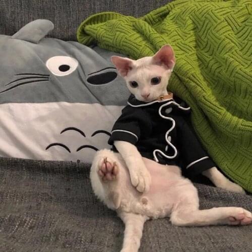 Leisure solid color cat clothes pet autumn and winter british shorthair funny cute cat pajamas Sphinx hairless cat clothing