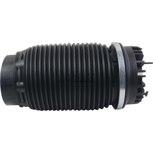 AP01 New Rear Air Suspension Spring for Dodge Ram 1500 3.0L,3.6L,5.7L 2013-2018 4877136AA/AB