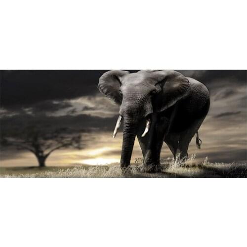 Black African Elephant Tree Wild Animals Sunset Canvas Painting Posters and Prints Modern Wall Art Picture Living Room Cuadros