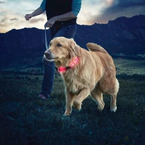 Led Light Dog Collar - Nite Ize NiteDawg