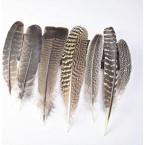 New Various Top Quality Real Natural Eagle feathers 10pcs 15-40CM Eagle bird feathers For crafts diy Wedding decoration plumes
