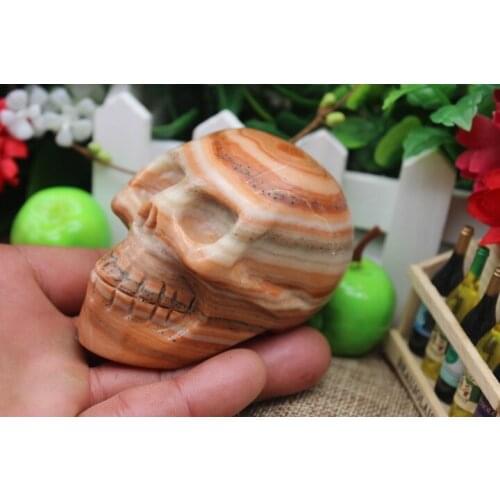 379 grams of quartz crystal skull petrified wood healing