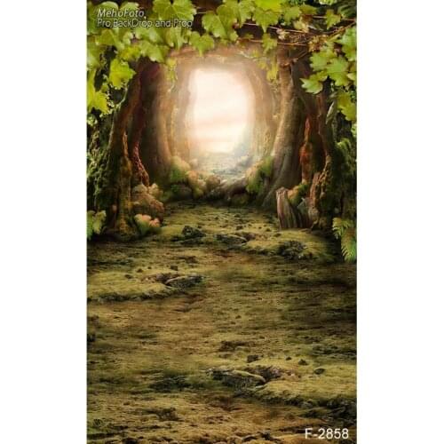 Children Photography Backdrop Custom Vinyl Valentines Day Backdrop Newborn Backdrops for Photo Studio Fast Shipping F-2858