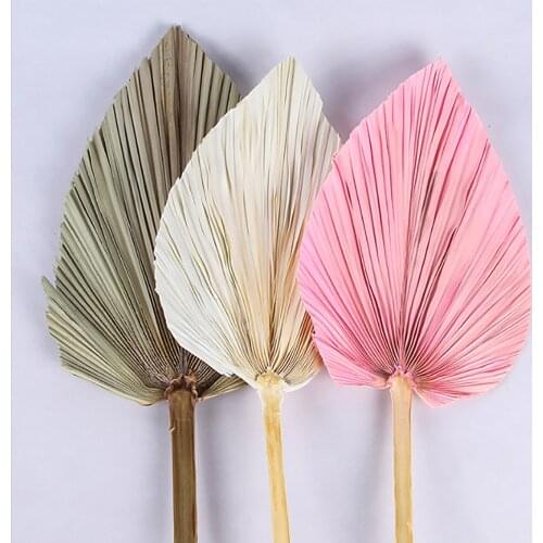 Artificial Leaves Palm Fan Leaf Dried Flower For Wedding Reception Party Wall Arch Arrangement Hanging Decoration