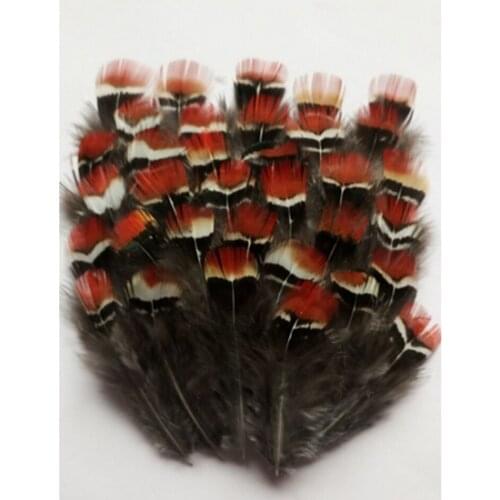 Free shipping wholesale 20 PC 5-7cm quality natural pheasant feathers, DIY jewelry decoration