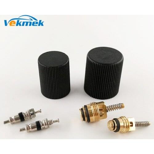 6pcs Auto Car Air Conditioning Parts A/C System Service Kit Caps & Valve Cores Rapid Seal Kit for Ford Lincoln Cadillac