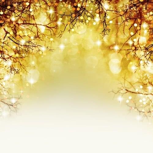 5x7ft Bokeh Glitter Art Photography Backdrop Printed background Newborns Portrait Background