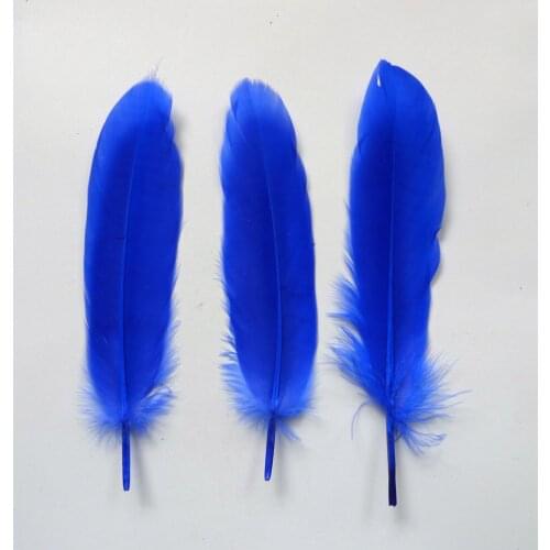 Wholesale 1000 Pcs Blue Natural Plume Goose Feathers For DIY Crafts Christmas Cosplay Hat Clothing Shoes Accessories Decoration