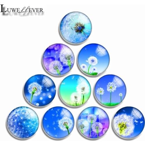 12mm 10mm 16mm 20mm 25mm 30mm 563 Dandelion Mix Round Glass Cabochon Jewelry Finding 18mm Snap Button Charm Bracelet