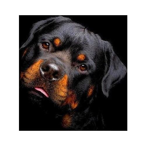 LIPHISFUN Painting Diamond Drill Full Embroidery Square/round Home Decoration Dog Cute Handcraft