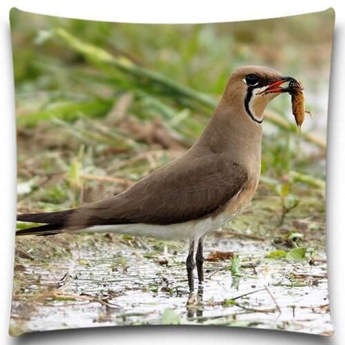 A bird with a worm in its mouth 2D print creative Pillow case Square cotton polyester cushion cover 5 size 9 style