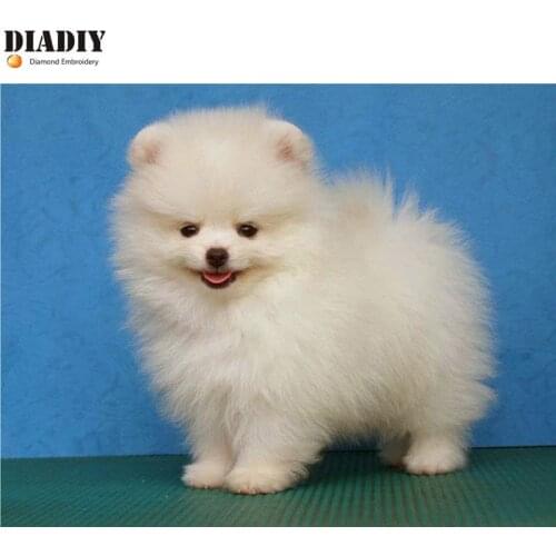 5D DIY Diamond Painting cute dog Embroidery Full round Diamond Cross Stitch Rhinestone Mosaic Painting Decor Gift