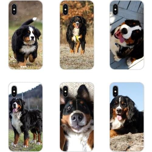 Accessories Phone Shell Covers For Samsung Galaxy A3 A5 A7 A9 A8 Star A6 Plus 2018 2015 2016 2017 Bernese Mountain Dog