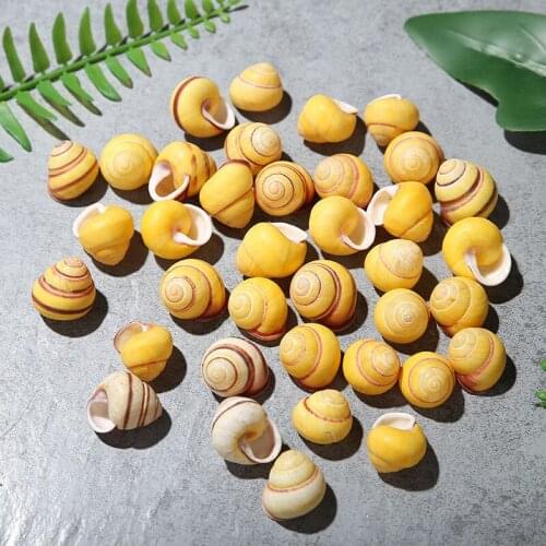 1pcs Natural Lucky Shell Small Yellow Conch Marine Gold Grid Specimen Conch About 2cm Collection Mediterranean ocean style