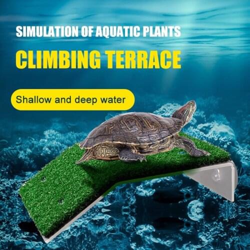 Home Decoration Accessories Equipment For Aquariums