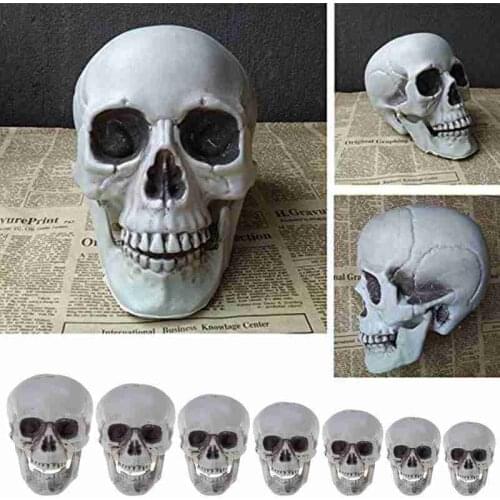 Human Skull Model Human Skull Decors Prop Skeleton Plastic Head Halloween Coffee Bar Ornaments