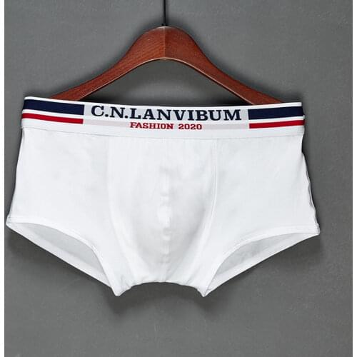 Men Boxer Shorts Soft Cotton Boxers for Mens Panties Men’s Underpants Male Cotton Sexy Underwear Boxershorts Family Underwear