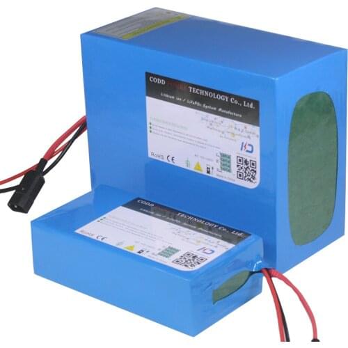 48V 100AH Lithium ion Battery Pack With BMS Charger