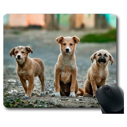 Dogs puppies pets Mouse Pads,Dogs Puppies Pet Animal Cute Canine Adorable,dogs mouse mat
