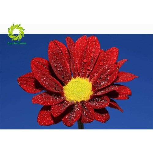 DIY diamond painting winter jasmine landscape round diamond embroidery mosaic home decoration pattern handmade mosaic round rhin