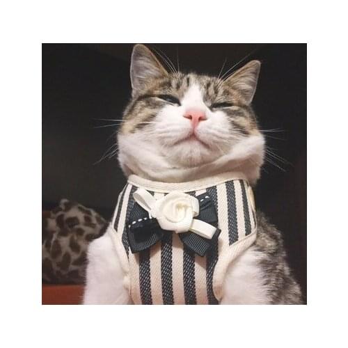 SENYEPETS Harnesses