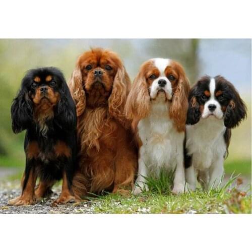 Diy diamond embroidery Cavalier King Charles Spaniel,diamond mosaic dog,full round,cross stitch,rhinestone with diamond painting