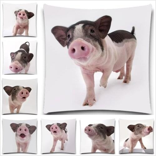 Black and white pig close to the camera 2D print creative Pillow case Square cotton polyester cushion cover