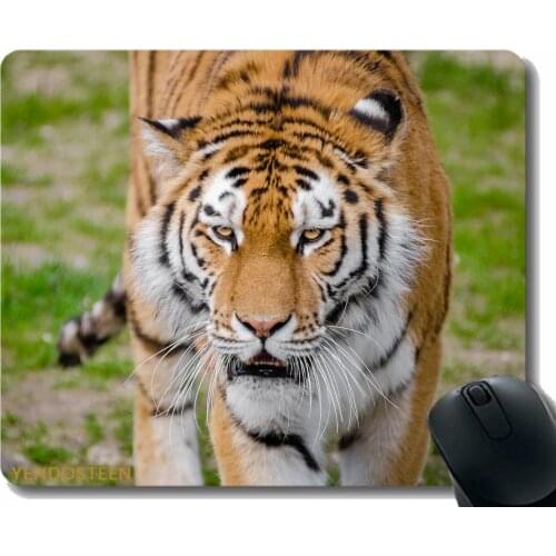 Custom Original Mouse Pad,Tiger Predator Grin 127727 Mouse Pad With Stitched Edge