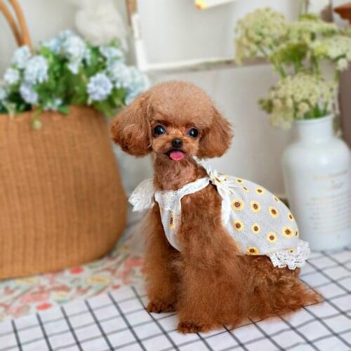 Sweet Summer Princess Shirt Cute Pet Dog Clothes Cute Girl Dog Cat Yorkshire Terrier Pomeranian Poodle Pet Dresses