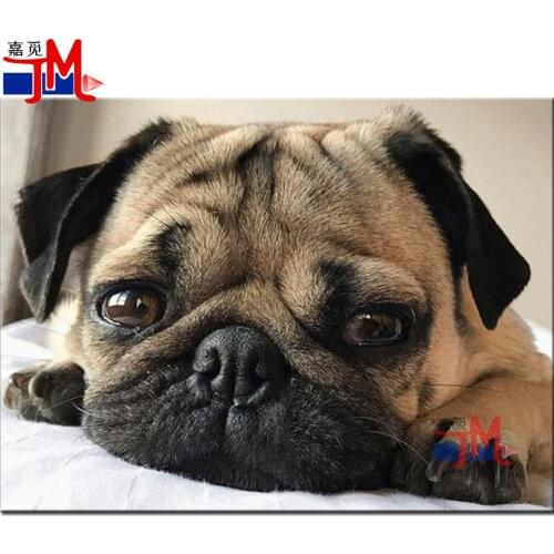 Home Pet Full Square Round Diamond Mosaic Pug 5D Diy Diamond Painting Animal Handmade Beaded Stickers Cross Stitch Rhinestones