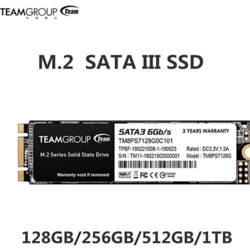 TEAMGROUP MS30 Internal Solid State Drive 256GB with SLC Cache 3D NAND TLC M.2 2280 SATA III 6Gb/s Compatible with Laptop PC