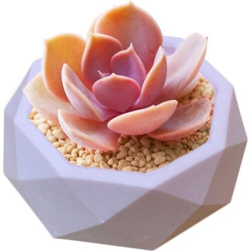 Creative Geometric Polygonal Concrete Flower Pot Vase Office Decoration Diy Clay Cementsilica Silicone Mold