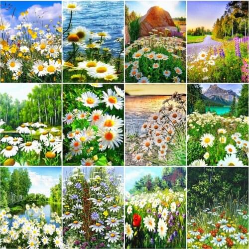 HUACAN Paint By Number Daisy Flower Drawing On Canvas HandPainted Art Gift DIY Pictures By Number Flowers Kits Home Decoration