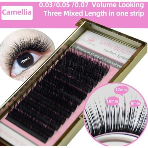 4 Trays Camellia Eyelash Extension 3D-6D 0.07/0.10 Volume Fan Eyelash Extensions Mixed Length in One Lash Strip Golden Fancy Box