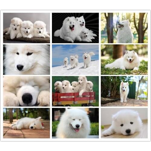 Diamond Embroidery Samoyed Dog picture of Rhinestone Mosaic 5D DIY Diamond Painting Full square /Round Handmade Decor Art
