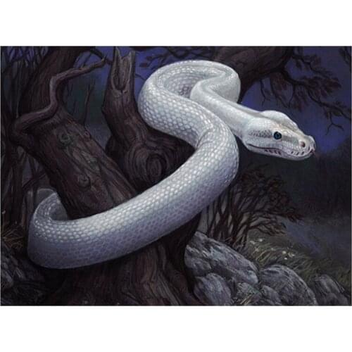 Full Square Round Diamond Embroidery animal White snake diy diamond painting Cross Stitch 5D Diamond Mosaic almaznayaZP-2641