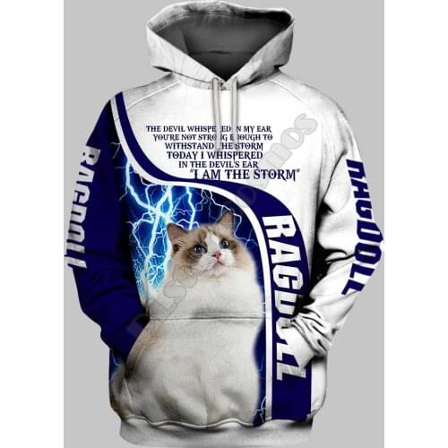Ragdoll 3D Hoodies Printed Pullover Men For Women Funny Sweatshirts Fashion Animal Sweater Drop Shipping 08