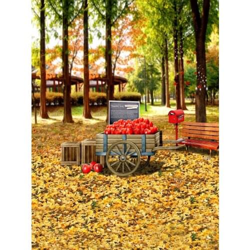 Life Magic Box backgrounds for photo studio forest sfondi fotografici photography backdrop S-1780