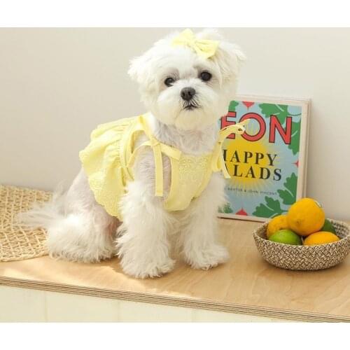 New Summer Lace Dress For Small Dogs Cute Luxury Dog Clothes Pet Skirt Dog Clothing With Hairpin Small Puppy Chihuahua Clothes