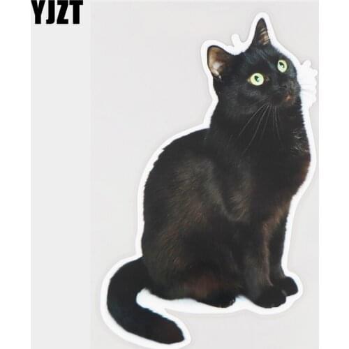 YJZT 11.4×18CM Black Cat Looking Up Funny Animal Body Decoration Vinyl Car Stickers Decals 21A-0776