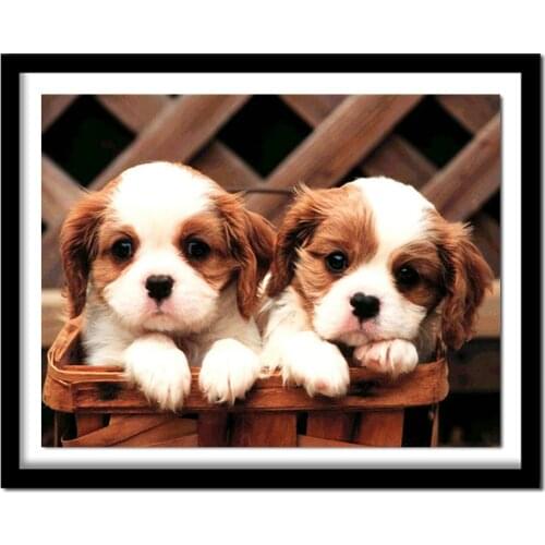 DIY 5D Puppy Diamond Painting Kits Needlework Full Square Animals Series Diamond Painting Cross Stitch Home Decor