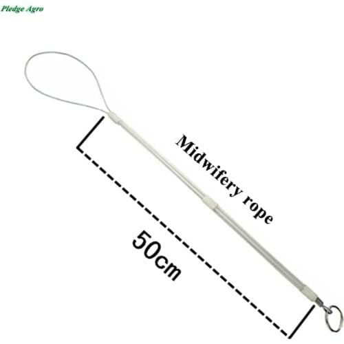 Veterinary equipment, pig breeding equipment, pigs sow, piglet midwifery hook, sow dystocia midwifery tools sheep goat farm agro