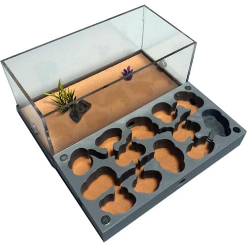 3D Acryl Ant Farm Ecological Flat Ant Nest with Feeding Area Concrete Ant House Pet Anthill Workshop Moisturizing Water Pool New