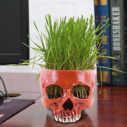 Resin Skull Head Shaped Flower Pot Planter Container Ornaments Garden Home Decoration Halloween Props