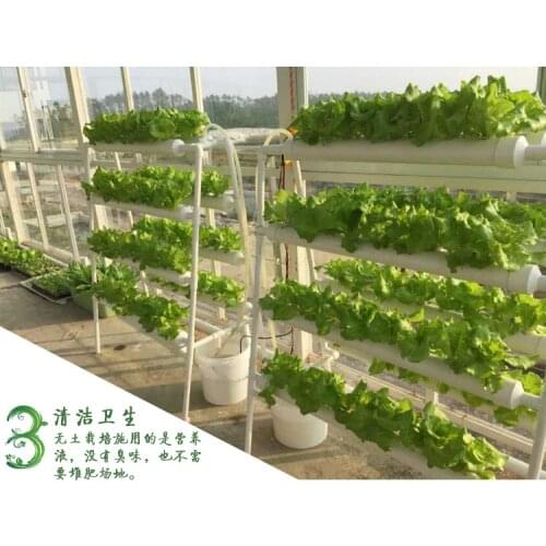 Hydroponics system NFT with 72pcs of net cup. Nutrient Film Technique (NFT)