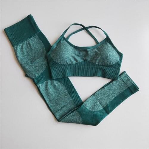 Seamless Yoga Set Fitness Clothing Sportswear High Waist Women Gym Leggings Tights Padded Push-up Sports Bra Tracksuit Sports