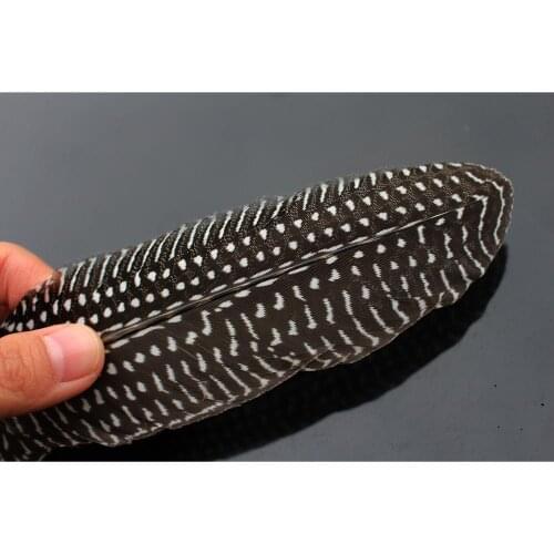 Tigofly 12 pcs Guinea Pearl Hen Wing Tail Quills Feathers Wing material Fly Tying Materials