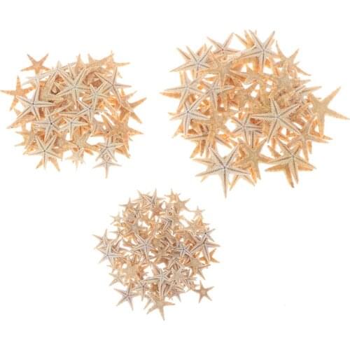 100pcs Sea Shells Size:0.5-3cm Mini Starfish Craft Decoration Natural Sea Stars DIY Beach Cottage Wedding Decor Crafts Wedding