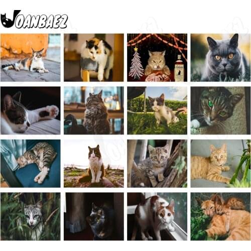 Cat Pet Diamond Painting Cute Animal Cross Stitch Embroidery 5D Diy Mosaic Kit Hand Inlaid Home Decoration Accessories